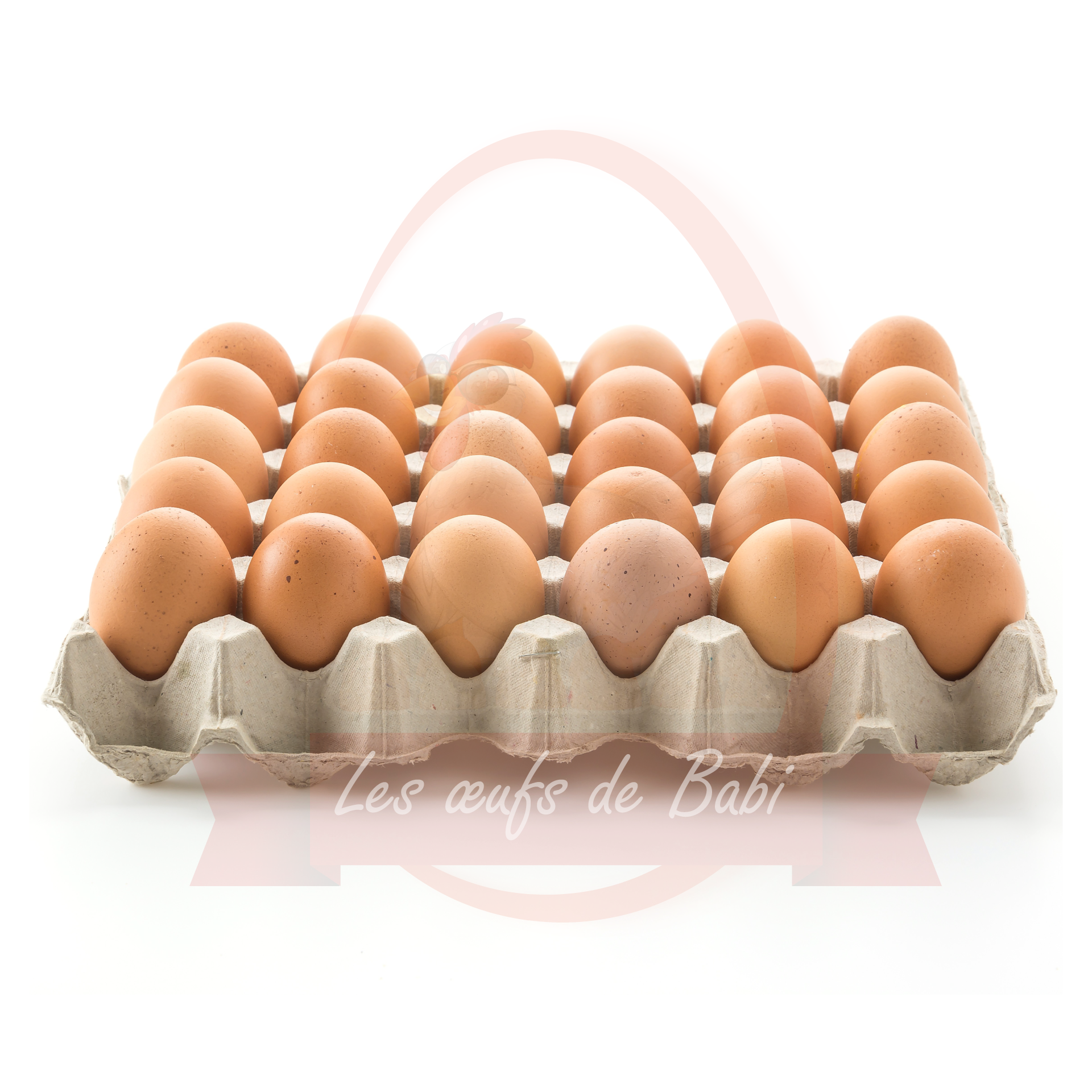 Plaquette de 30 œufs frais